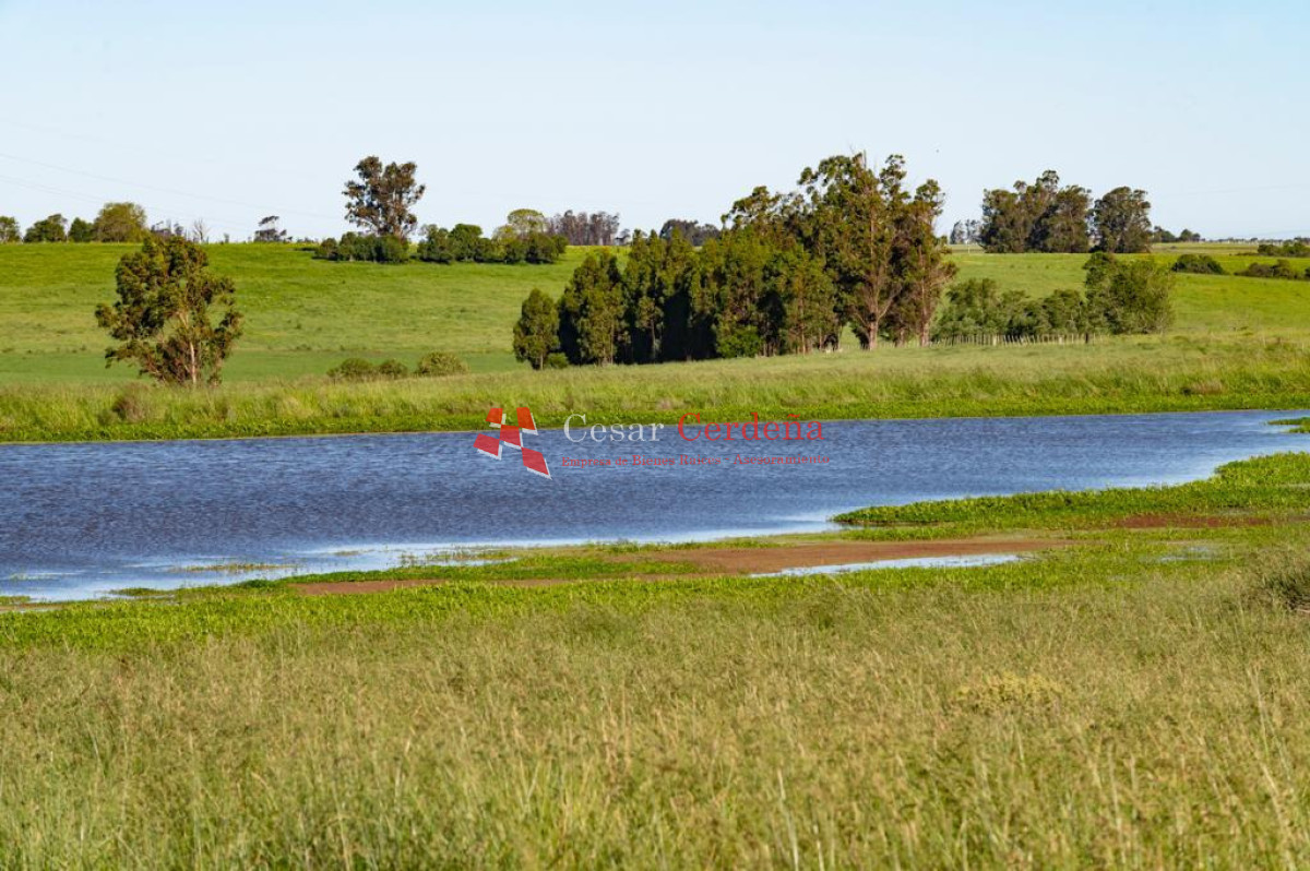 Chacra ID.2002 - VENTA - Chacra y casa de campo a estrenar Los Zainos