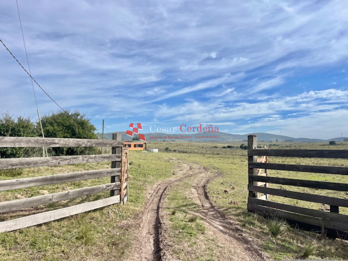 Chacra ID.1902 - VENTA - Chacra 7 Hectareas