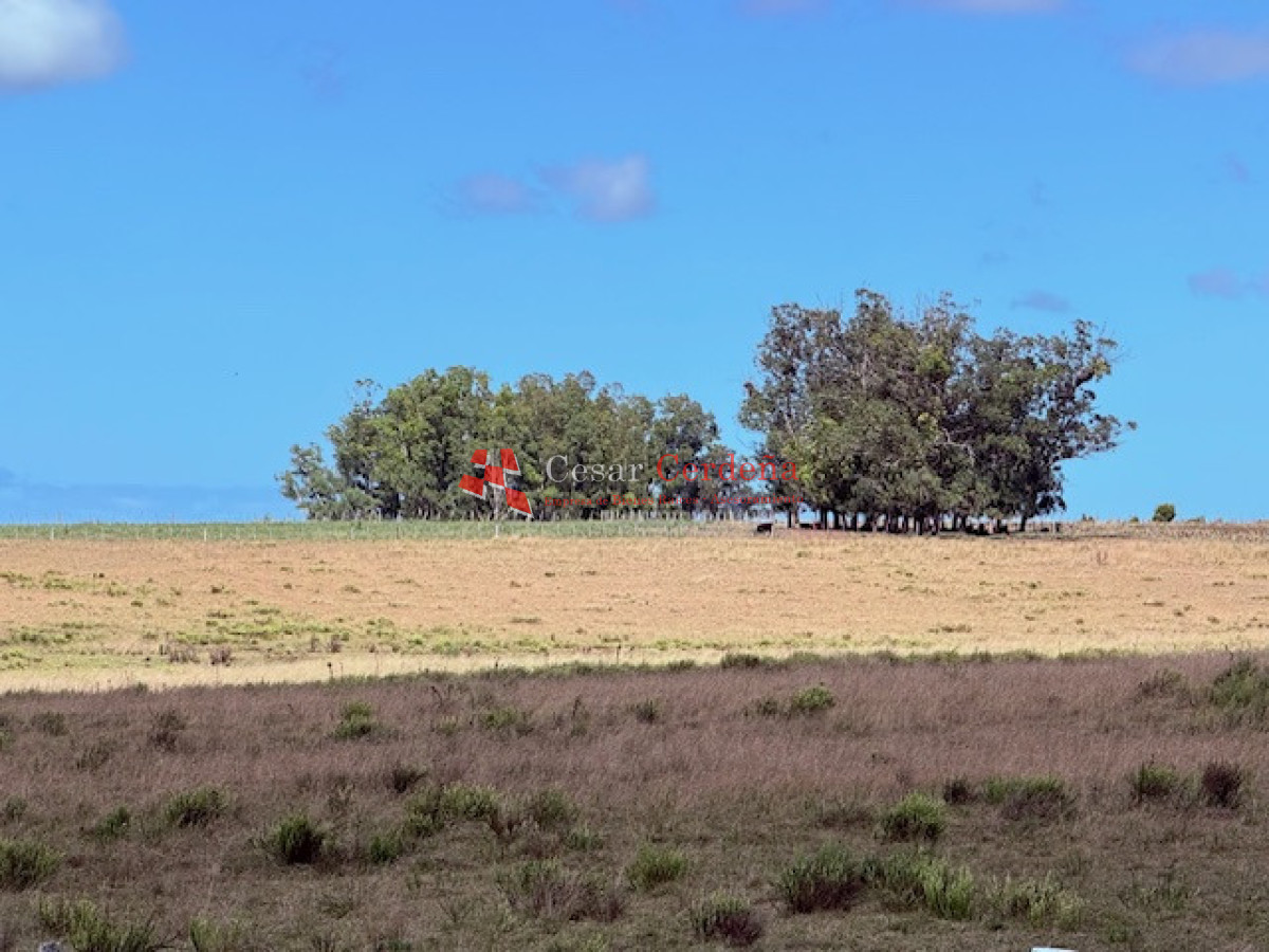Chacra ID.1972 - VENTA - Chacra 21 hectáreas Jose Ignacio