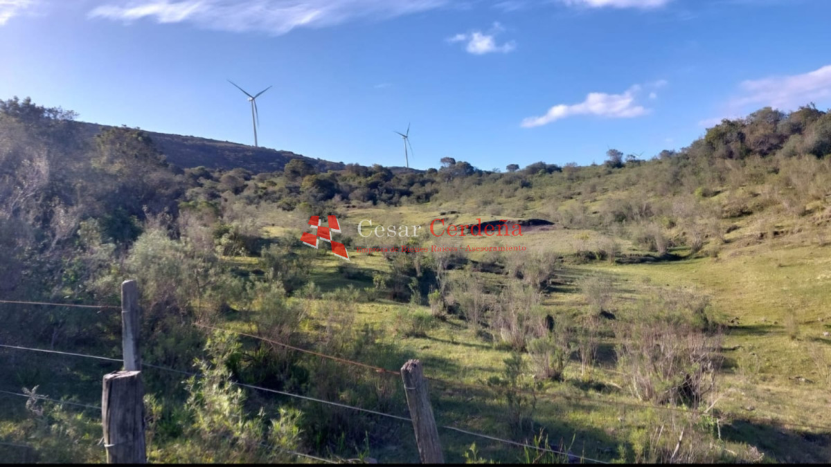 Chacra ID.1928 - VENTA - 5 Hectareas Los Caracoles