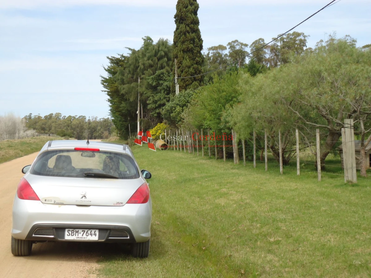 Chacra ID.1223 - VENTA - Chacra en La Pataia 8 hectareas