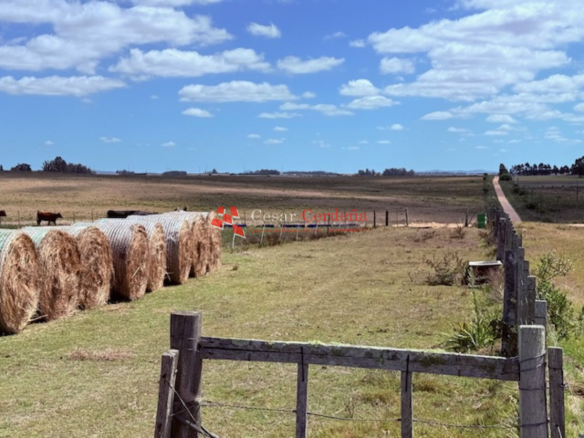 Chacra ID.1972 - VENTA - Chacra 21 hectáreas Jose Ignacio