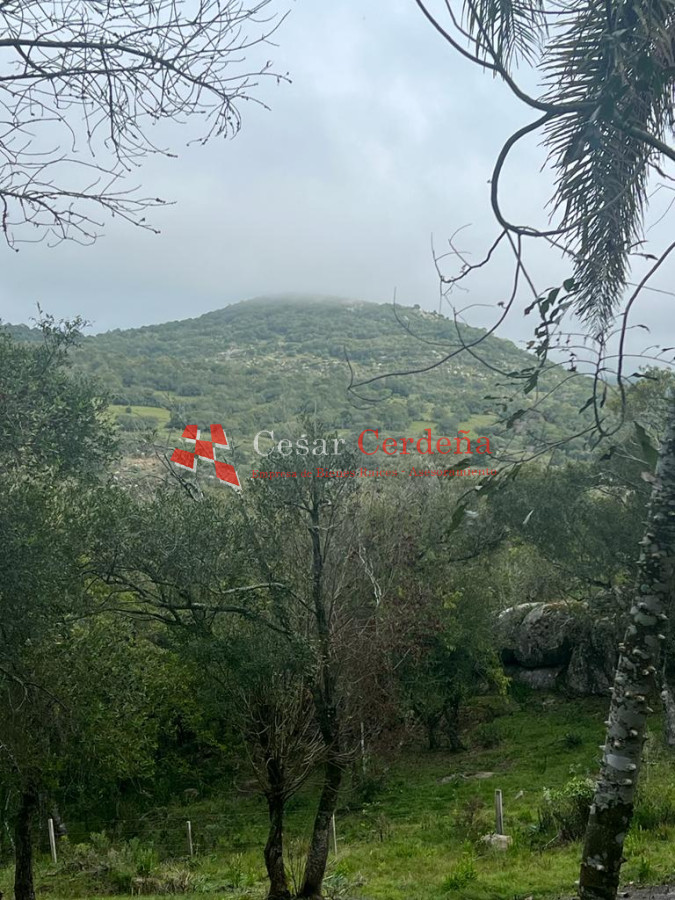 Chacra ID.1779 - VENTA - Excepcional chacra en zona de Cerro Catedral