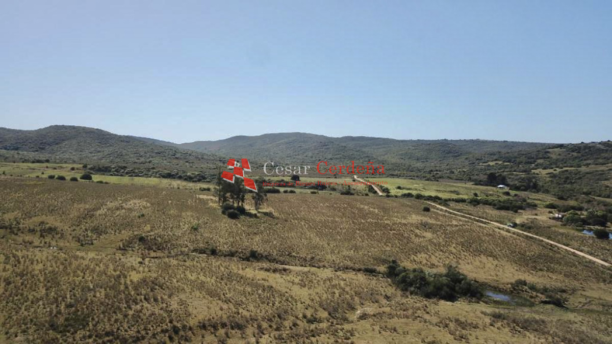 Chacra ID.1760 - VENTA - Chacras en Sierra de Los Caracoles