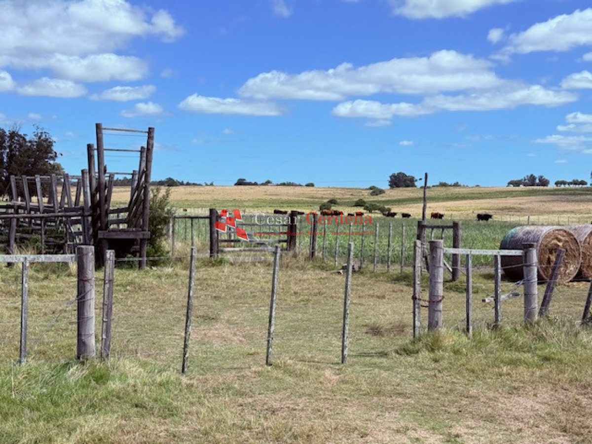 Chacra ID.1972 - VENTA - Chacra 21 hectáreas Jose Ignacio