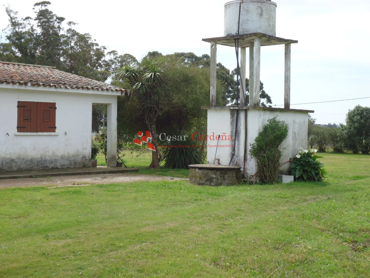 Chacra ID.1223 - VENTA - Chacra en La Pataia 8 hectareas