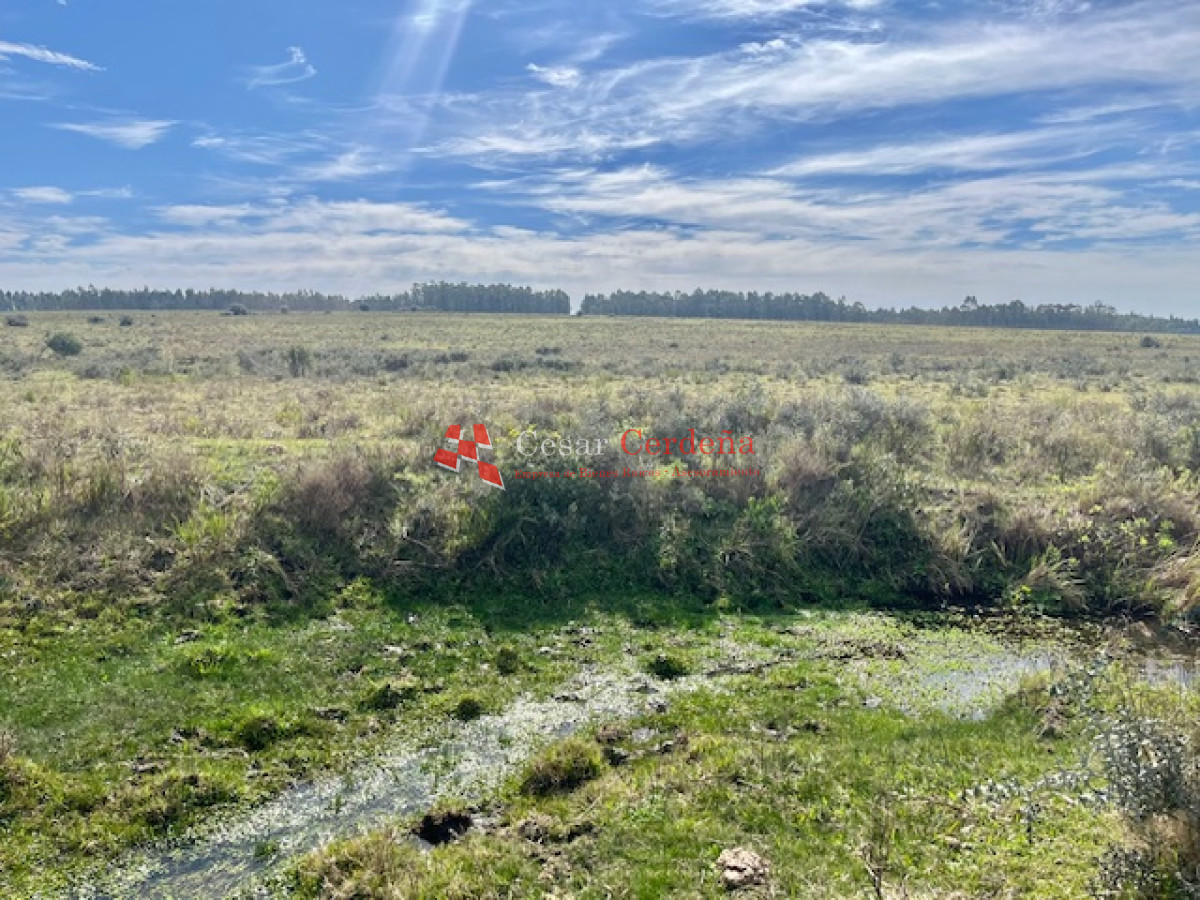 Chacra ID.1902 - VENTA - Chacra 7 Hectareas