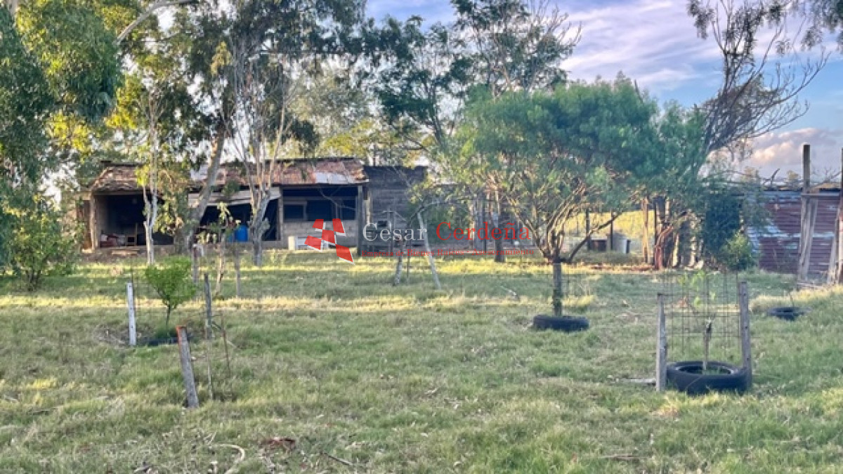 Chacra ID.1758 - VENTA - Chacra en Los Ceibos - San Carlos