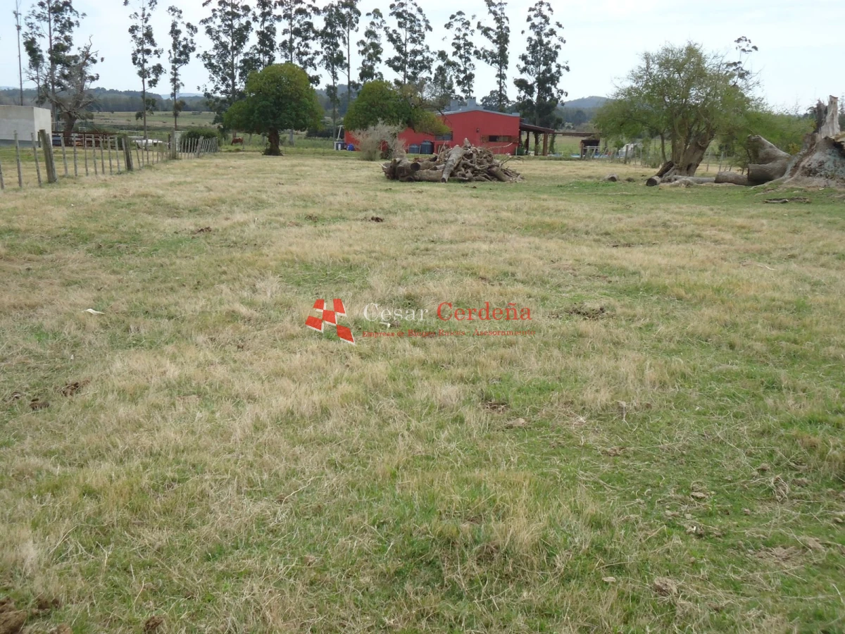 Chacra ID.1223 - VENTA - Chacra en La Pataia 8 hectareas