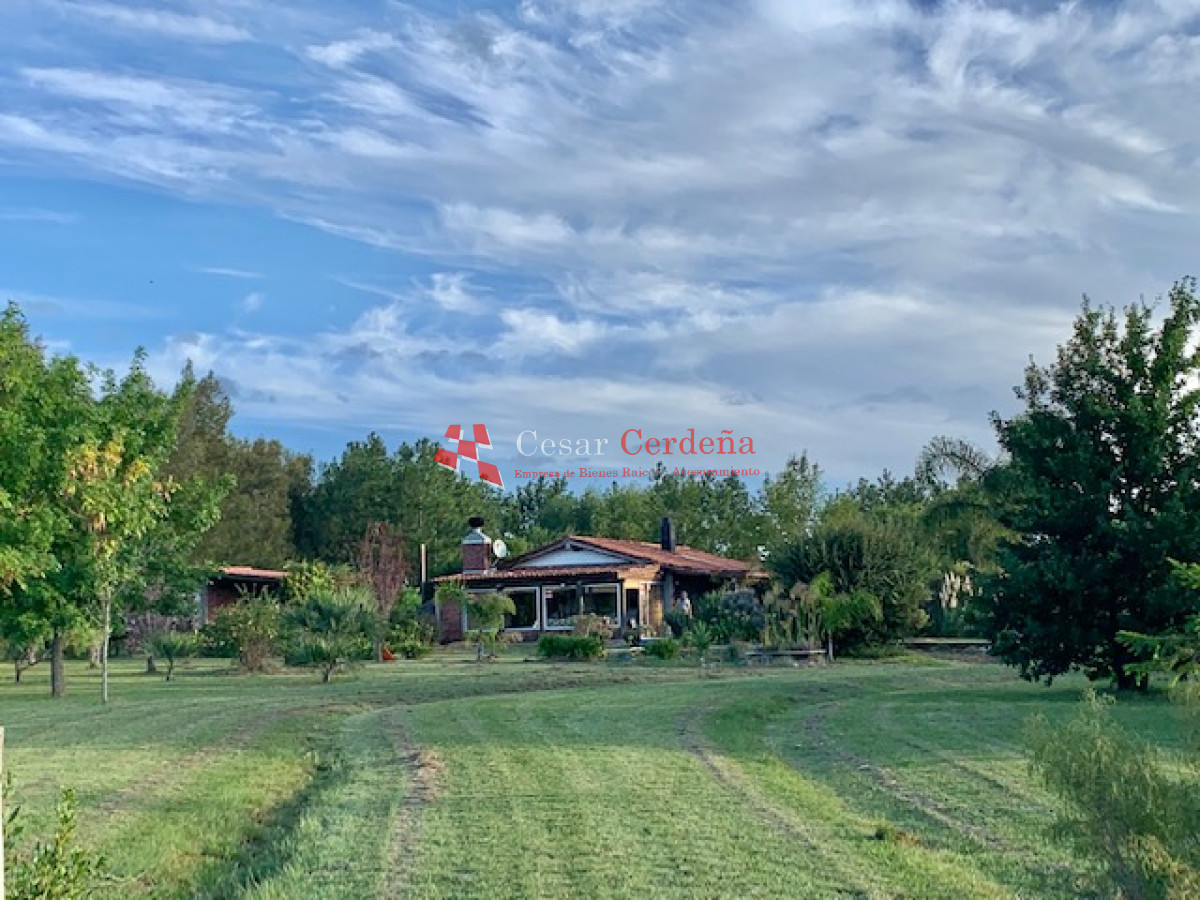 Chacra ID.1566 - VENTA - 5 Hectáreas - Chacra en Pueblo Eden 