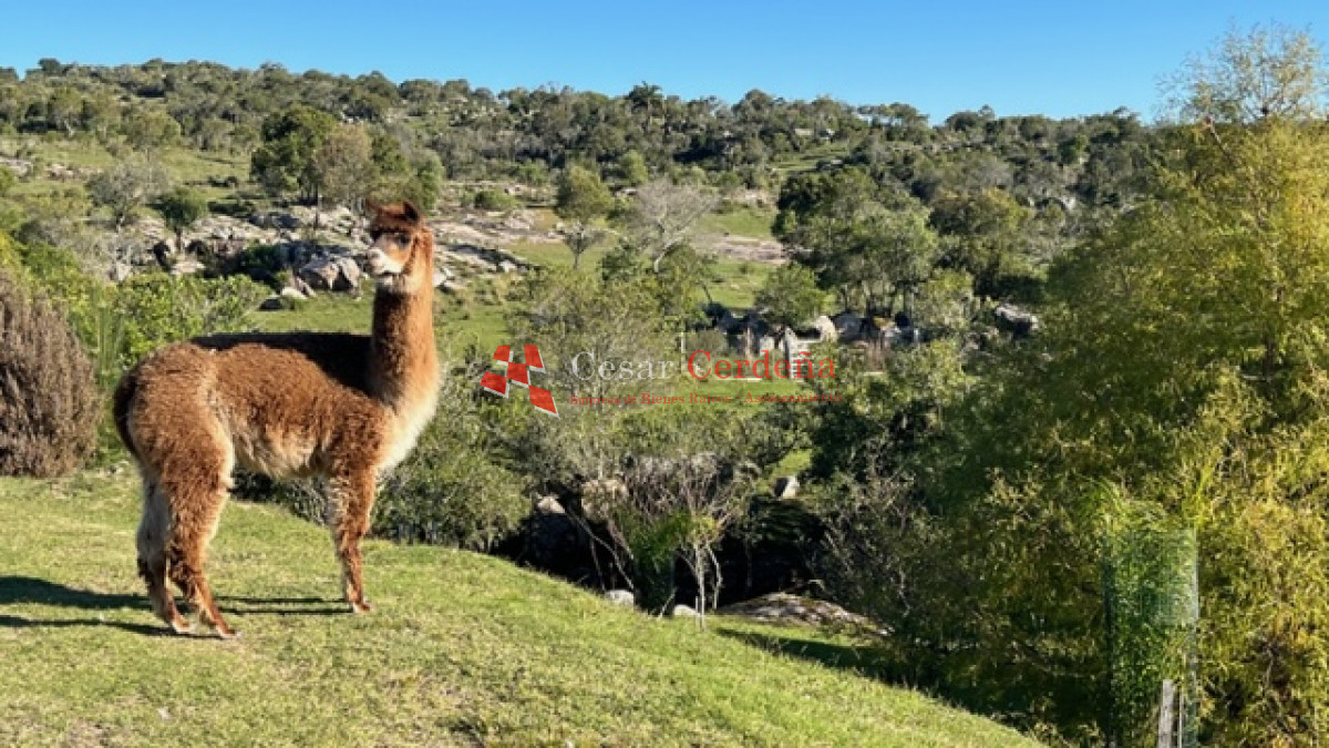 Chacra ID.1779 - VENTA - Excepcional chacra en zona de Cerro Catedral