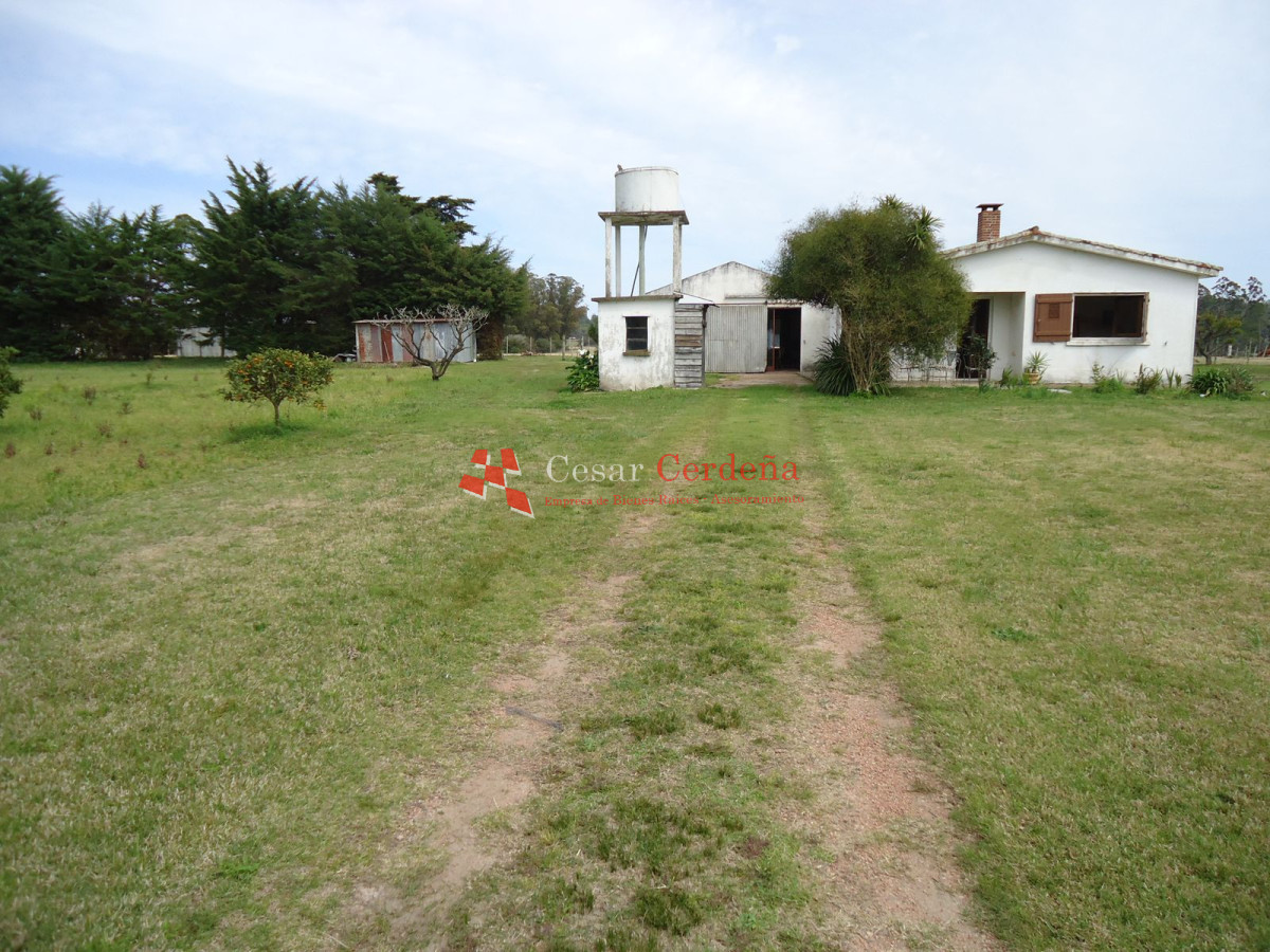 Chacra ID.1223 - CHACRA EN VENTA - CHACRA ON SALE