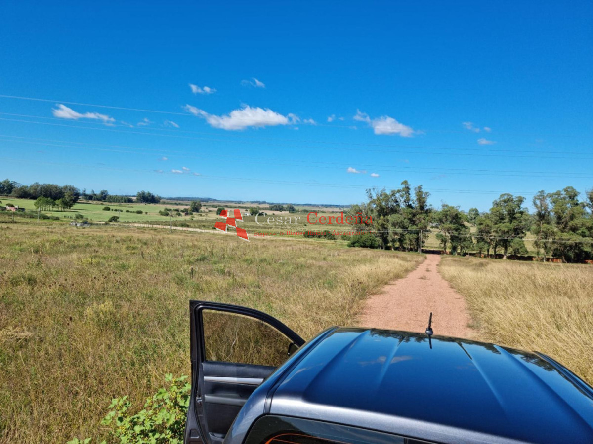Chacra ID.1967 - VENTA - 10 Hectáreas Los Ceibos - Maldonado