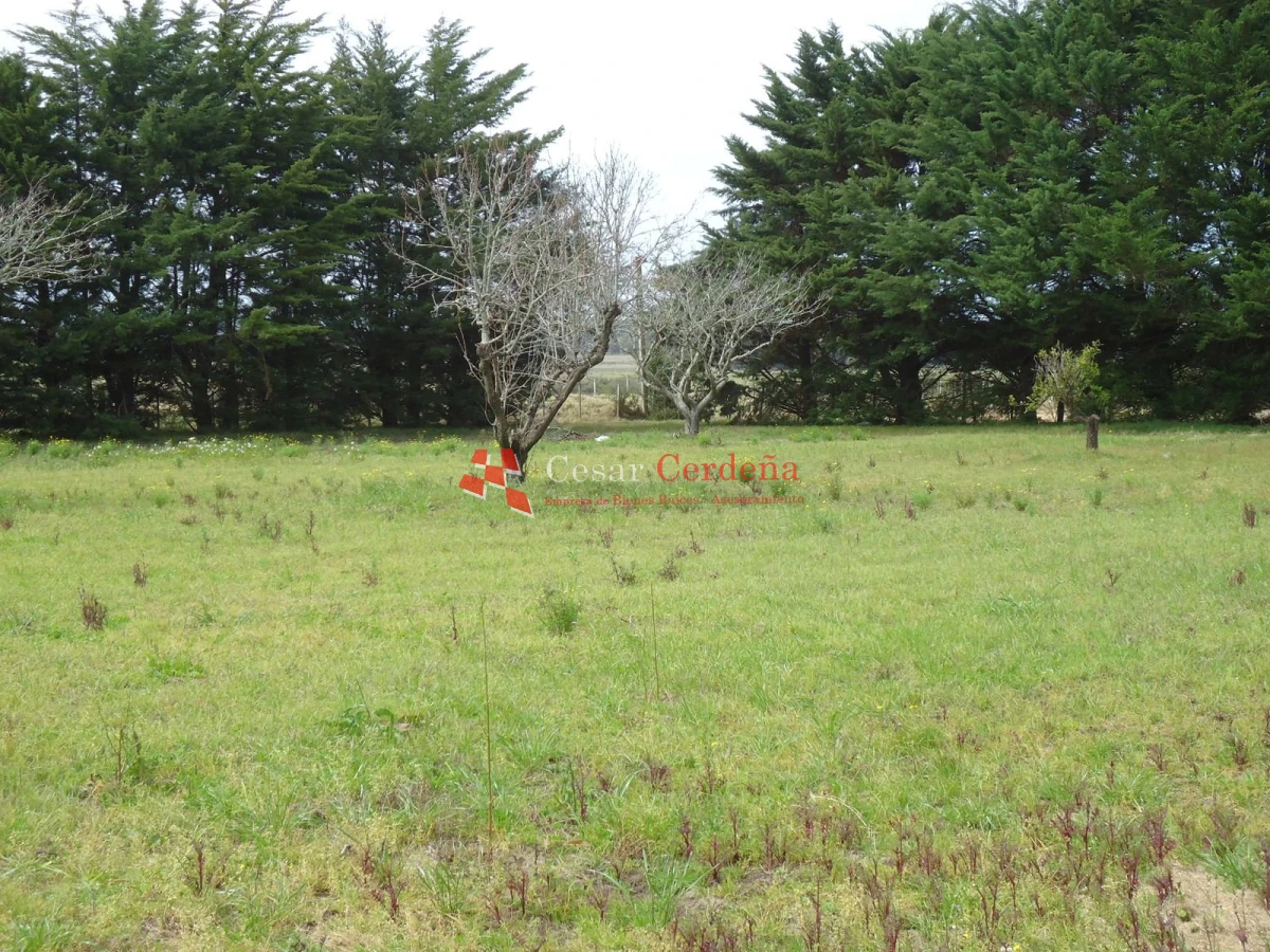 Chacra ID.1223 - VENTA - Chacra en La Pataia 8 hectareas