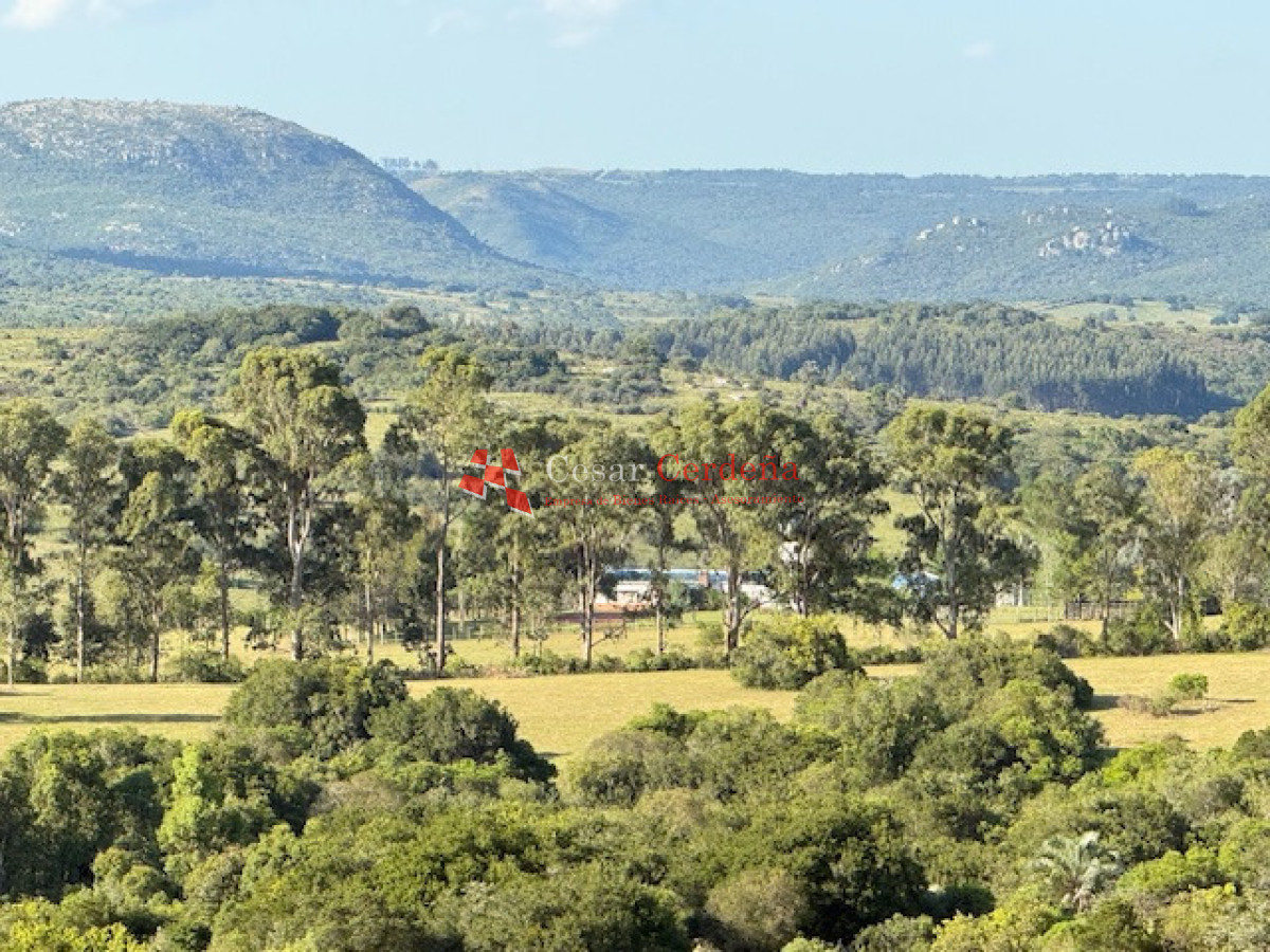 Chacra ID.1584 - VENTA - 39 Hectareas en Sierra de las Cañas