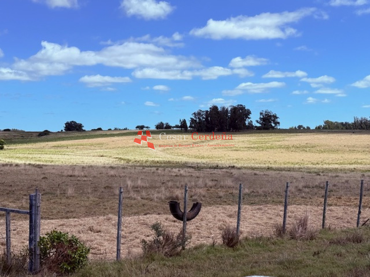 Chacra ID.1972 - VENTA - Chacra 21 hectáreas Jose Ignacio