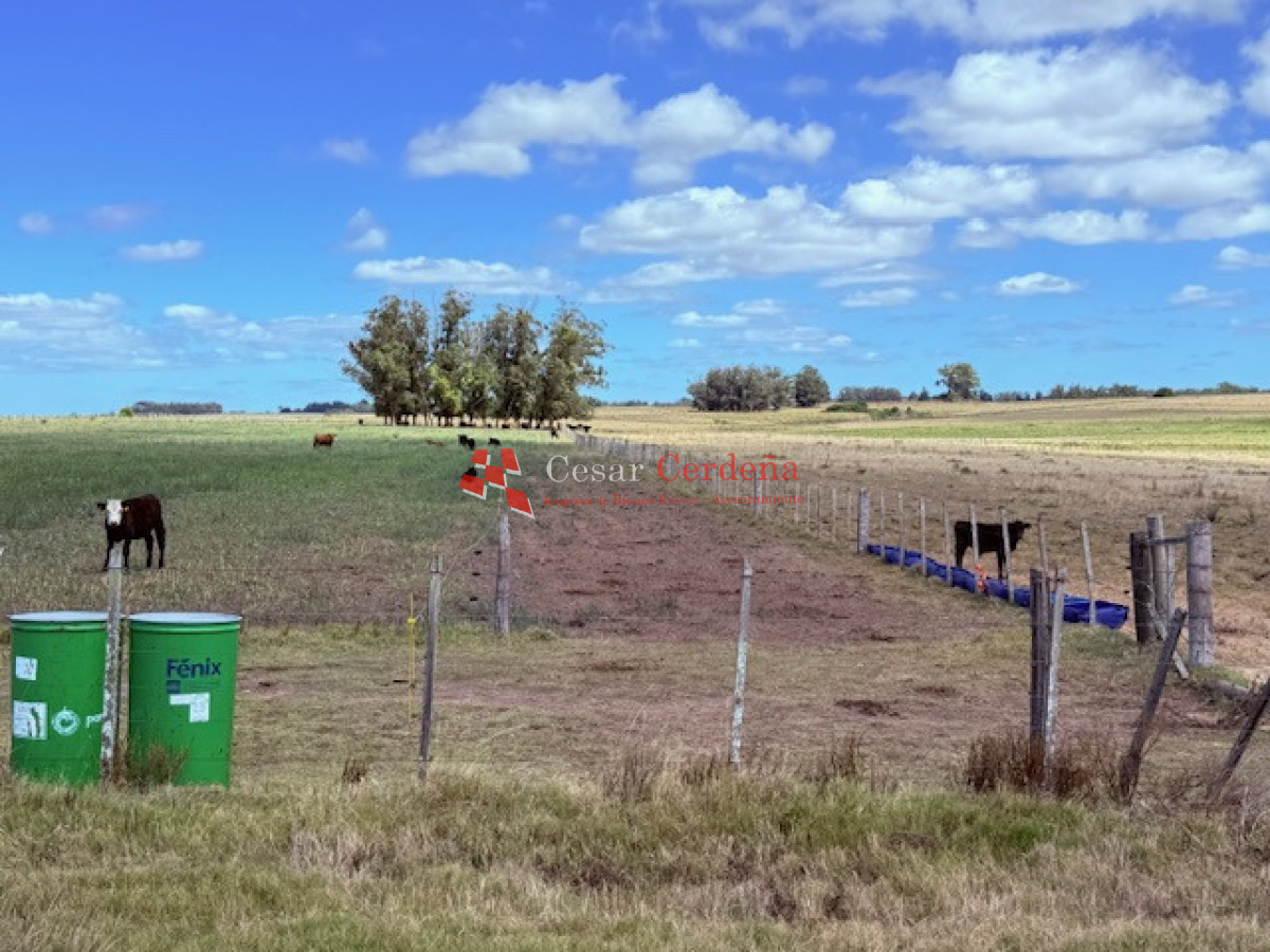 Chacra ID.1972 - VENTA - Chacra 21 hectáreas Jose Ignacio