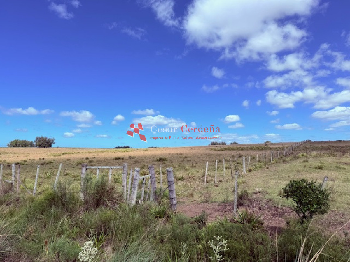 Chacra ID.1972 - VENTA - Chacra 21 hectáreas Jose Ignacio
