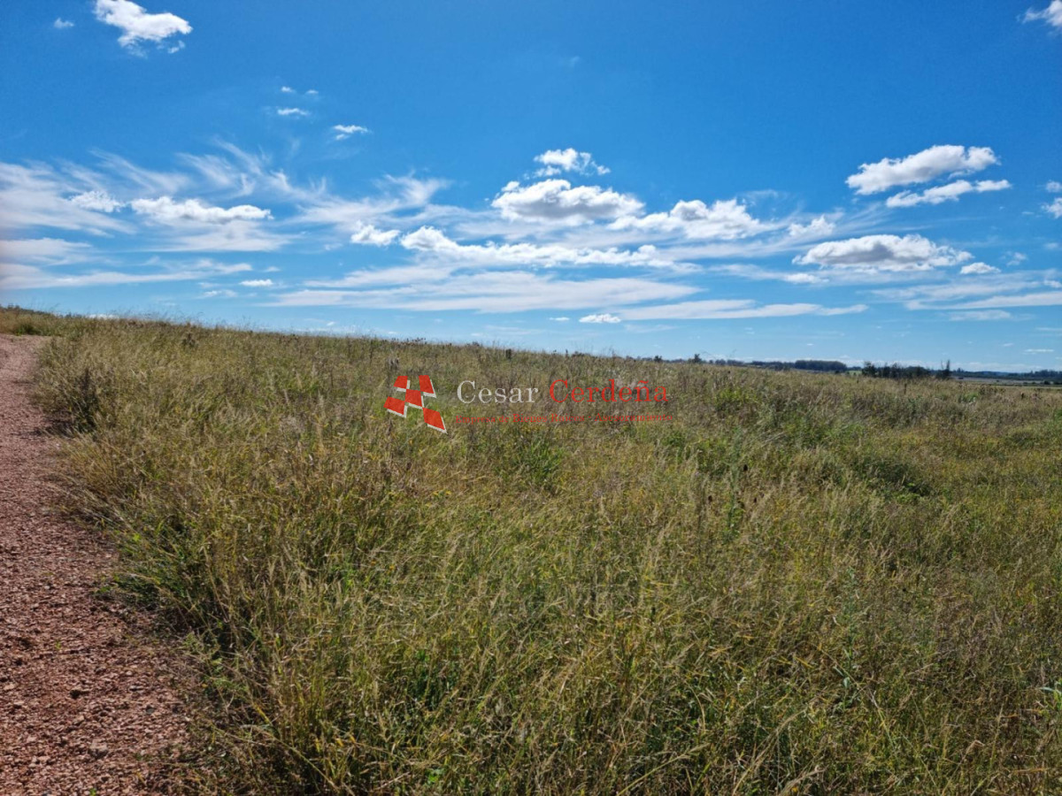 Chacra ID.1967 - VENTA - 10 Hectáreas Los Ceibos - Maldonado