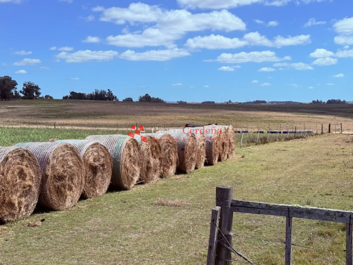 Chacra ID.1972 - VENTA - Chacra 21 hectáreas Jose Ignacio