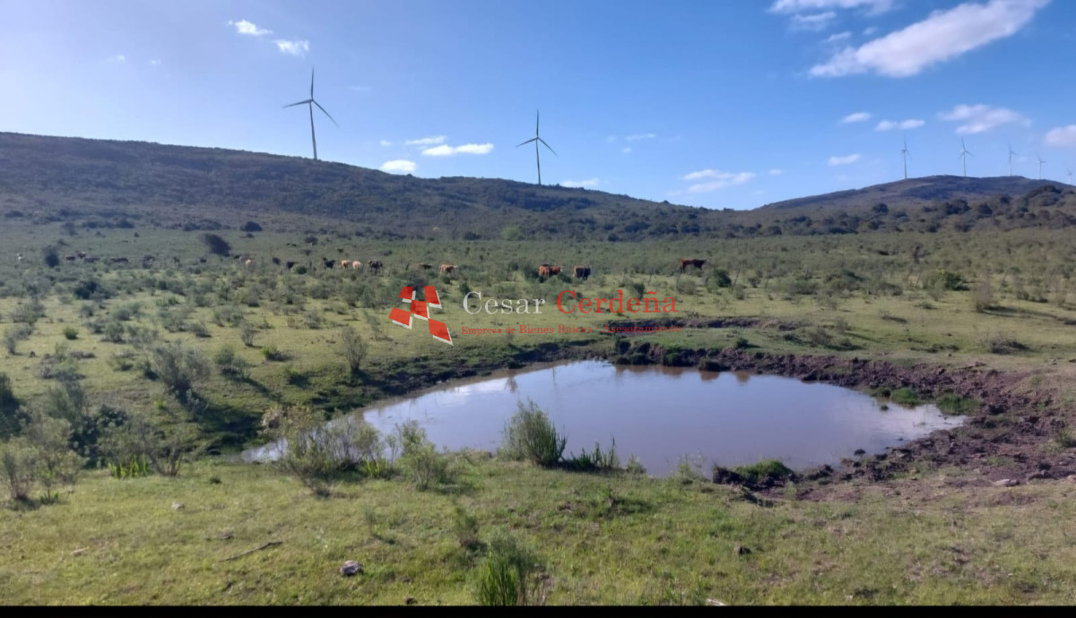 Chacra ID.1928 - VENTA - 5 Hectareas Los Caracoles