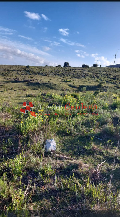 Chacra ID.1928 - VENTA - 5 Hectareas Los Caracoles