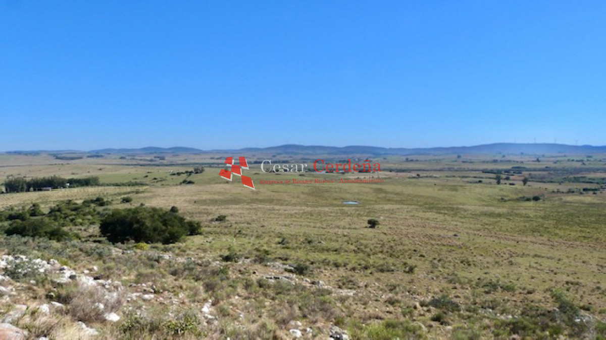 Chacra ID.1752 - VENTA - Chacra de 5 hectareas en Las Cañas