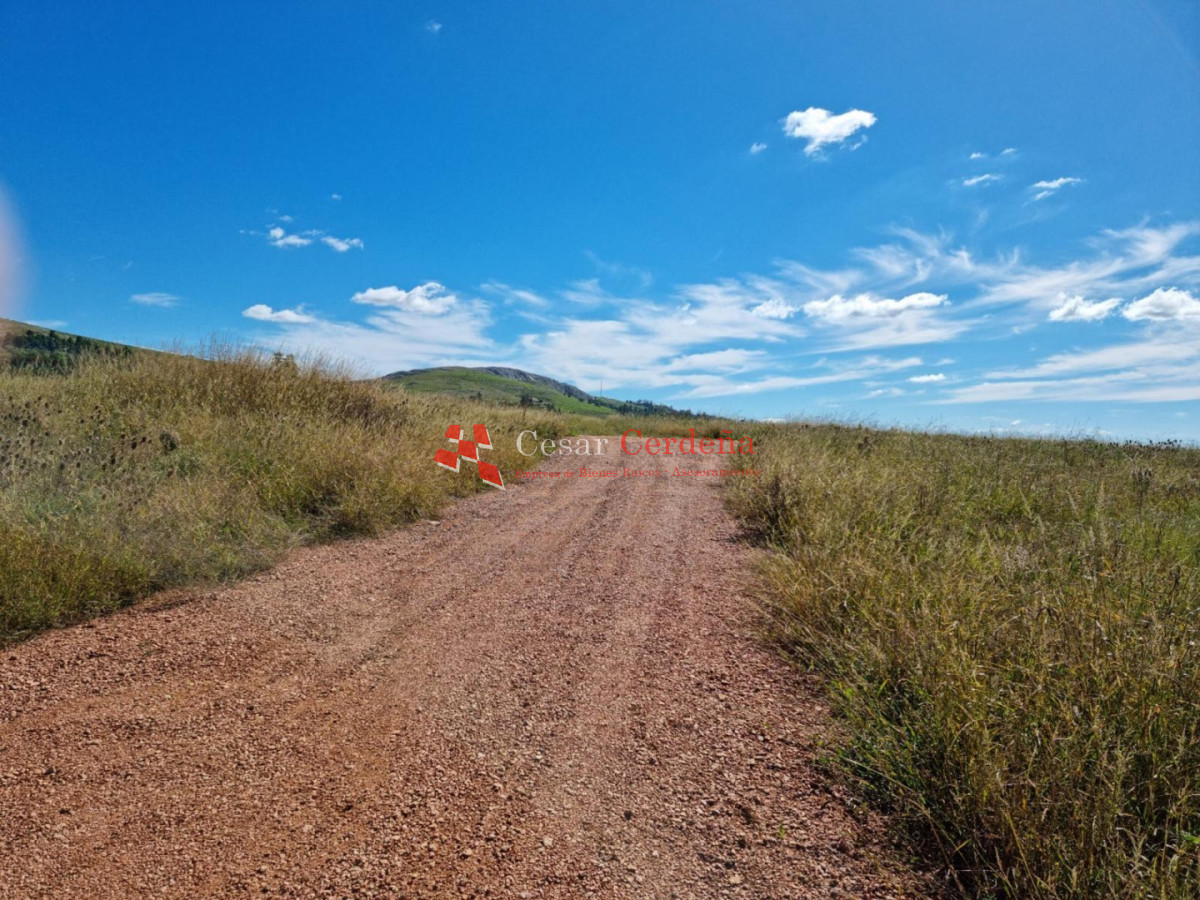 Chacra ID.1967 - VENTA - 10 Hectáreas Los Ceibos - Maldonado