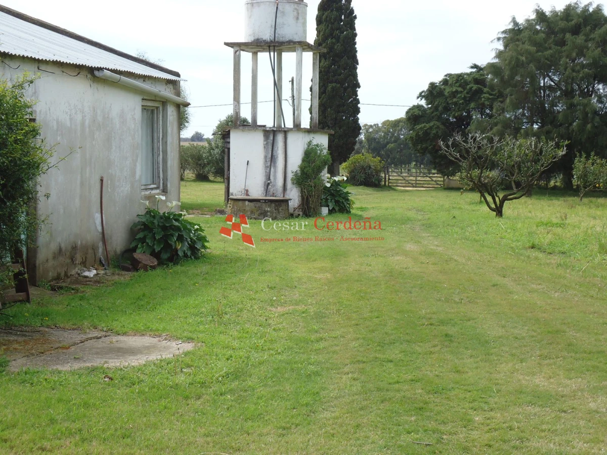 Chacra ID.1223 - VENTA - Chacra en La Pataia 8 hectareas