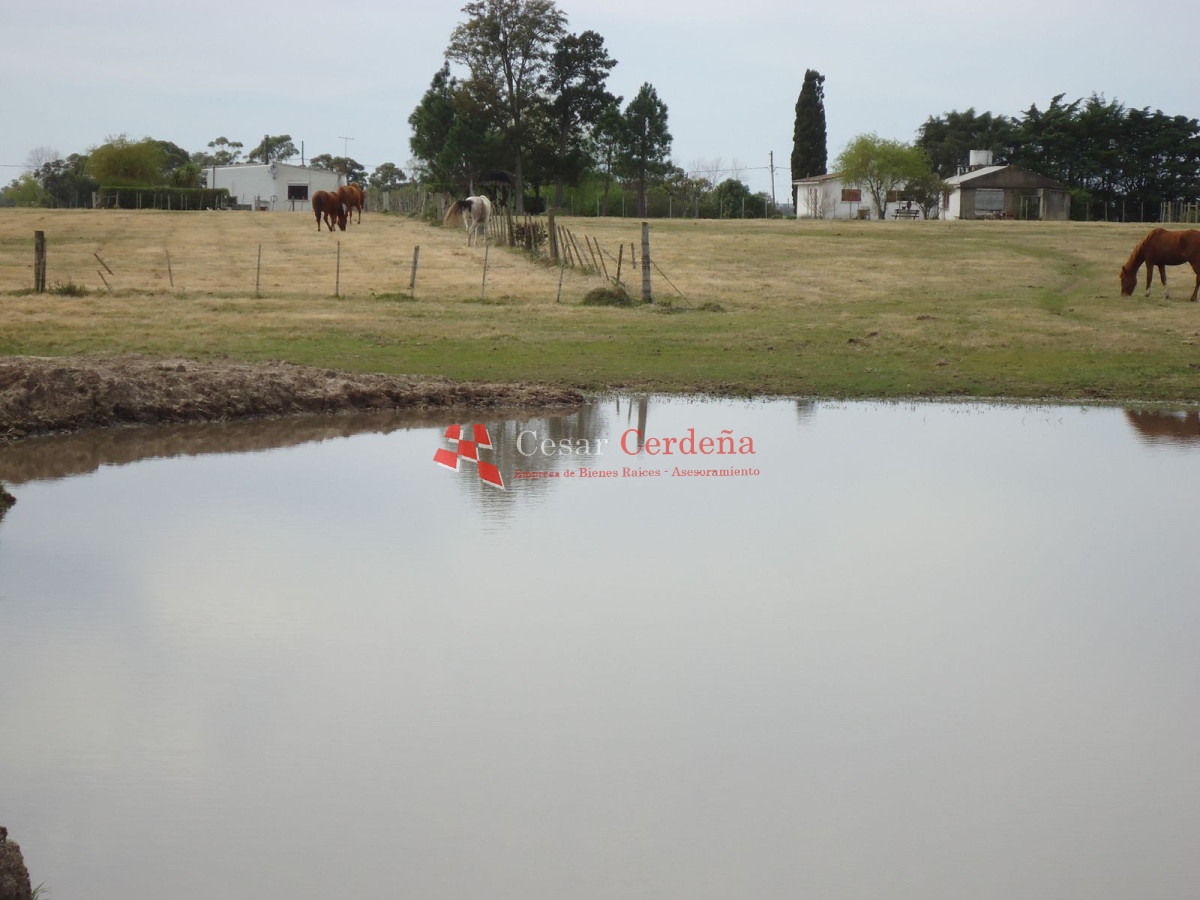 Chacra ID.1223 - CHACRA EN VENTA - CHACRA ON SALE