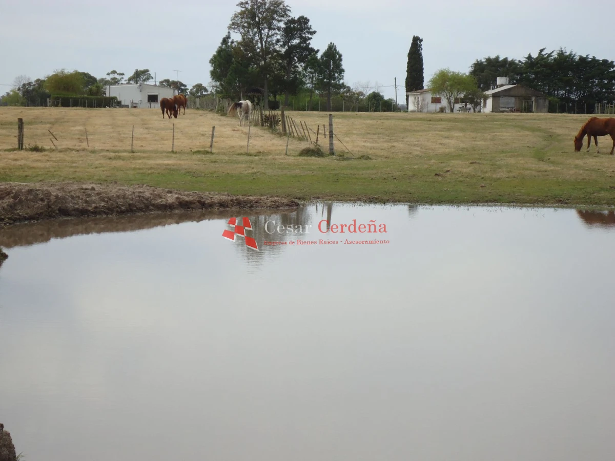 Chacra ID.1223 - VENTA - Chacra en La Pataia 8 hectareas