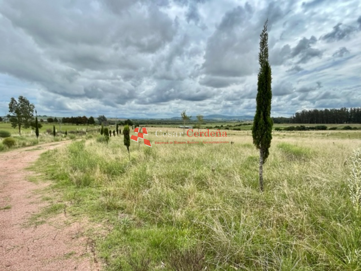 Chacra ID.1663 - VENTA - Chacra de 5 has muy pintoresca - Abra de Perdomo