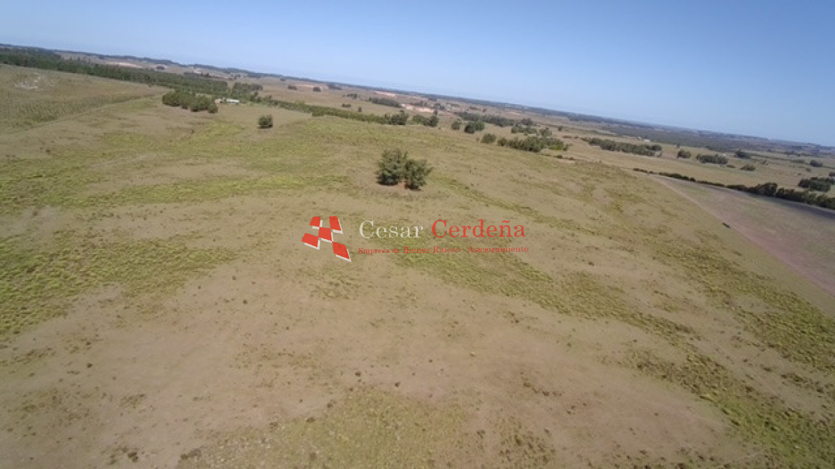 Chacra ID.1578 - VENTA - Chacra en zona de Bodegas Garzón