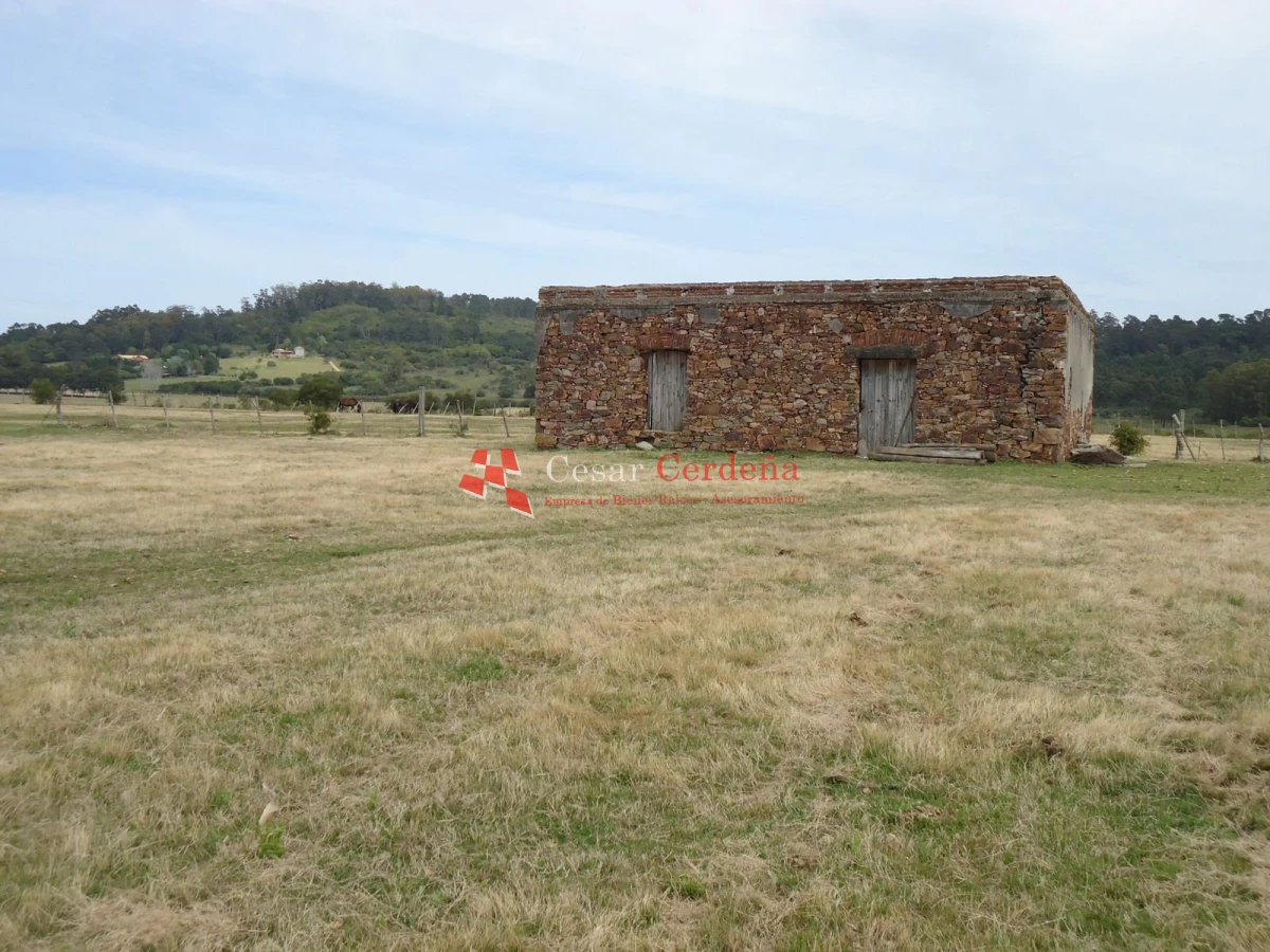 Chacra ID.1223 - VENTA - Chacra en La Pataia 8 hectareas