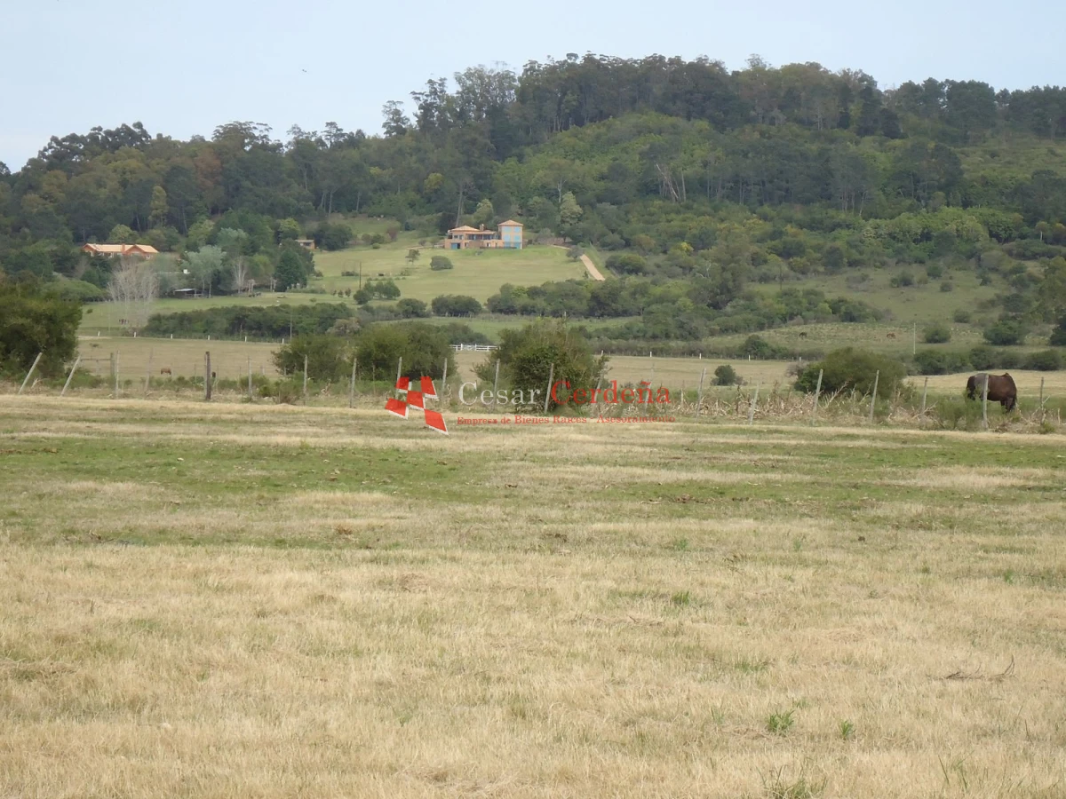 Chacra ID.1223 - VENTA - Chacra en La Pataia 8 hectareas