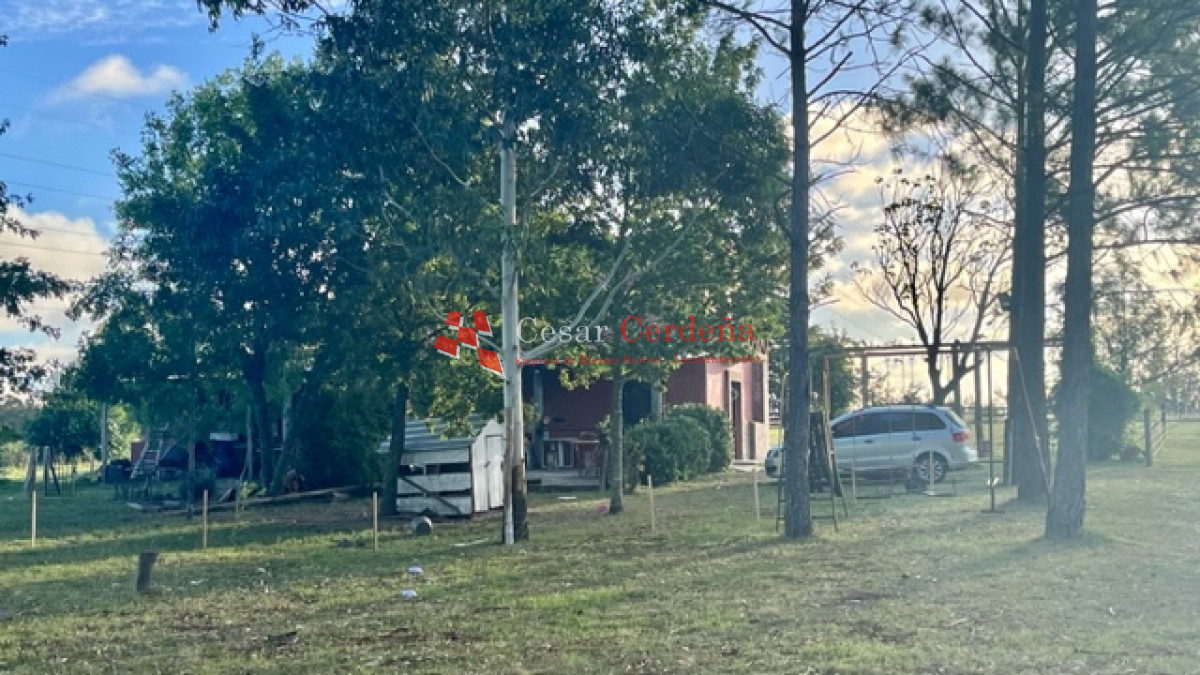 Chacra ID.1758 - VENTA - Chacra en Los Ceibos - San Carlos