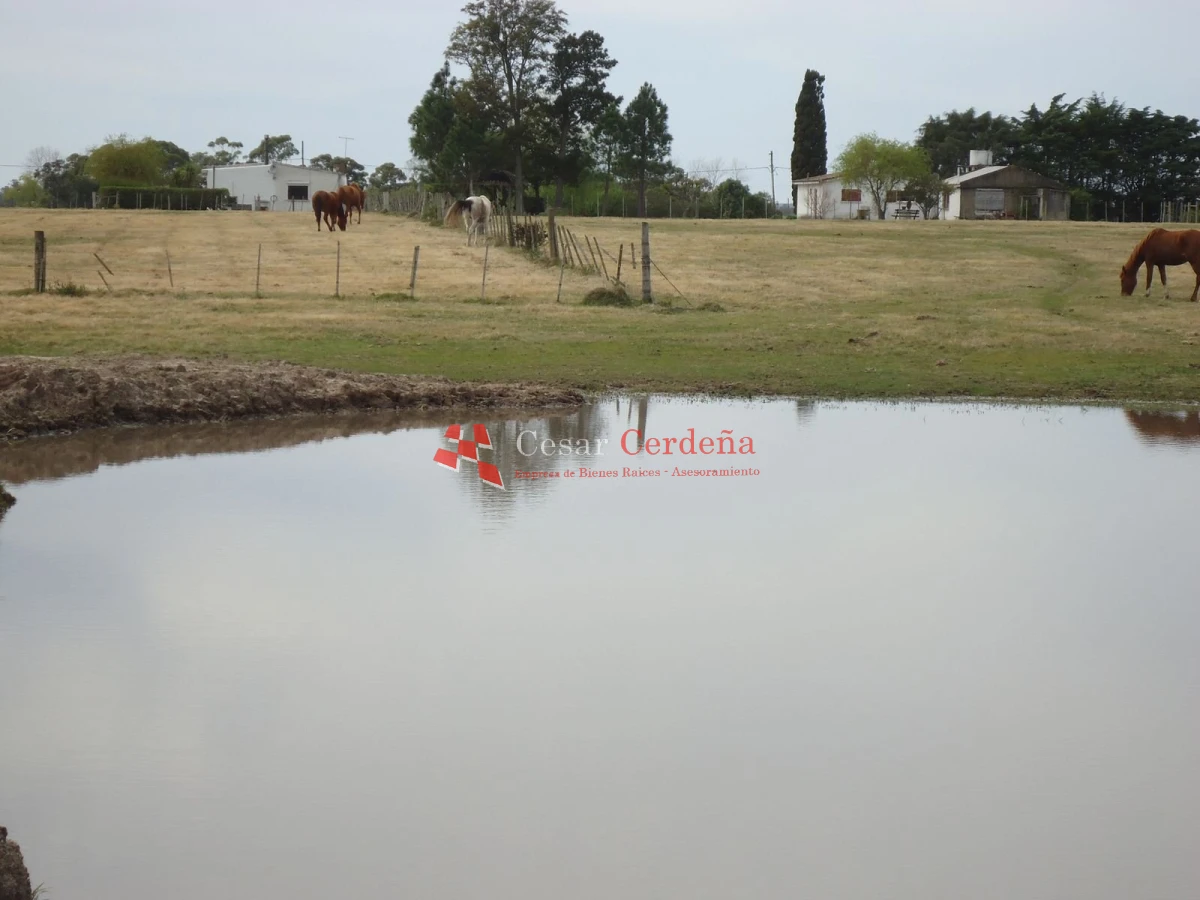 Chacra ID.1223 - VENTA - Chacra en La Pataia 8 hectareas