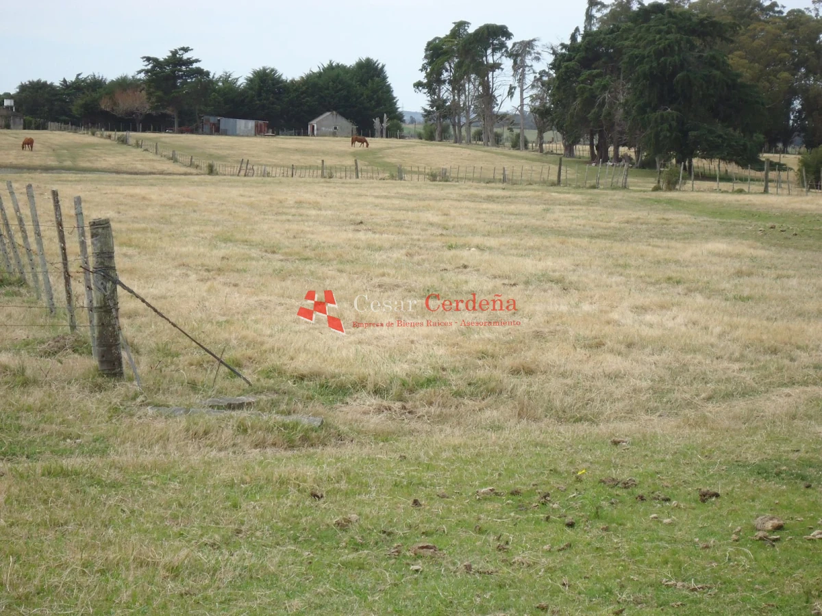 Chacra ID.1223 - VENTA - Chacra en La Pataia 8 hectareas