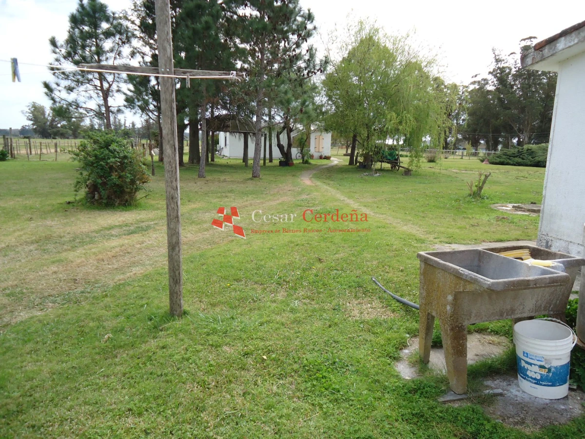 Chacra ID.1223 - VENTA - Chacra en La Pataia 8 hectareas