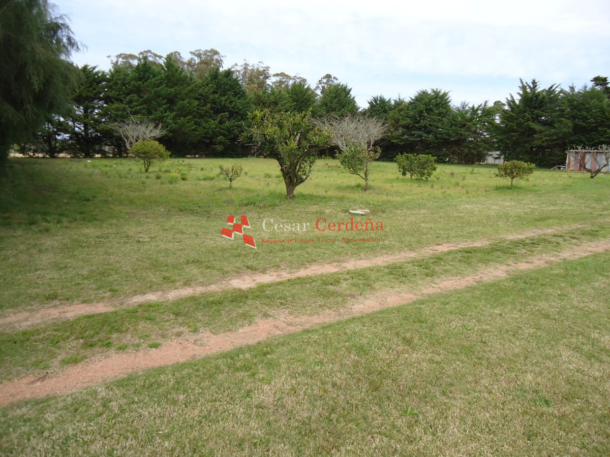 Chacra ID.1223 - CHACRA EN VENTA - CHACRA ON SALE