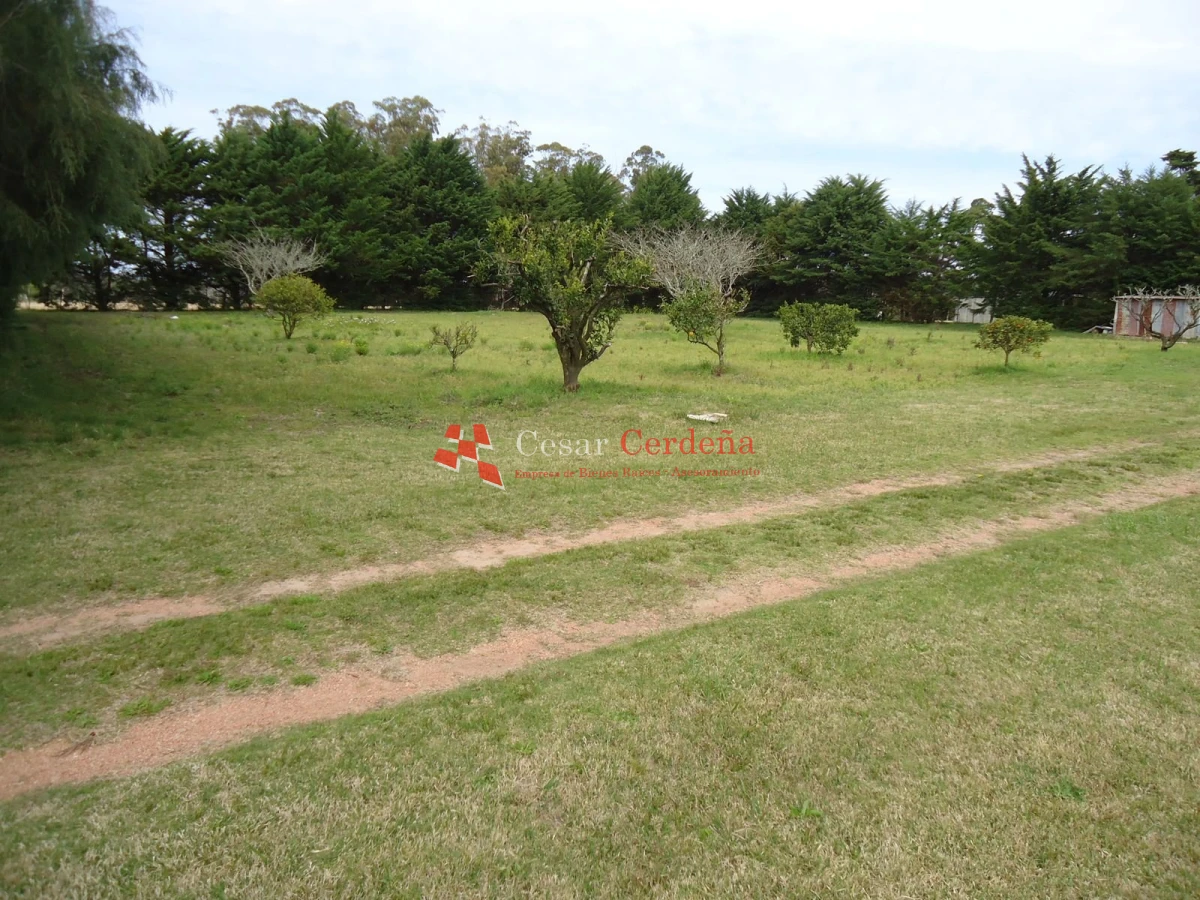 Chacra ID.1223 - VENTA - Chacra en La Pataia 8 hectareas
