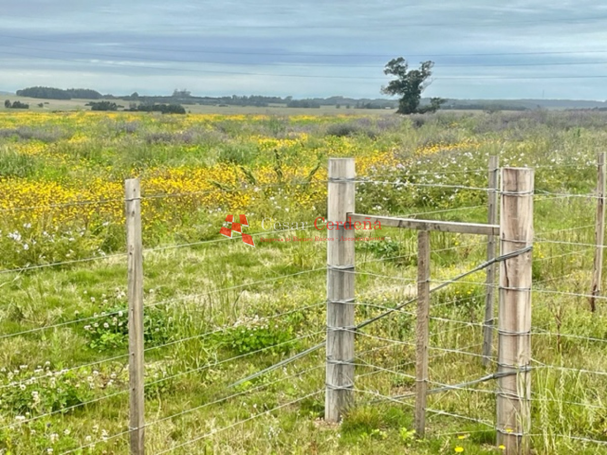 Chacra ID.1839 - VENTA - Chacras en Jose Ignacio rural, complejo Los Zainos, ruta 9