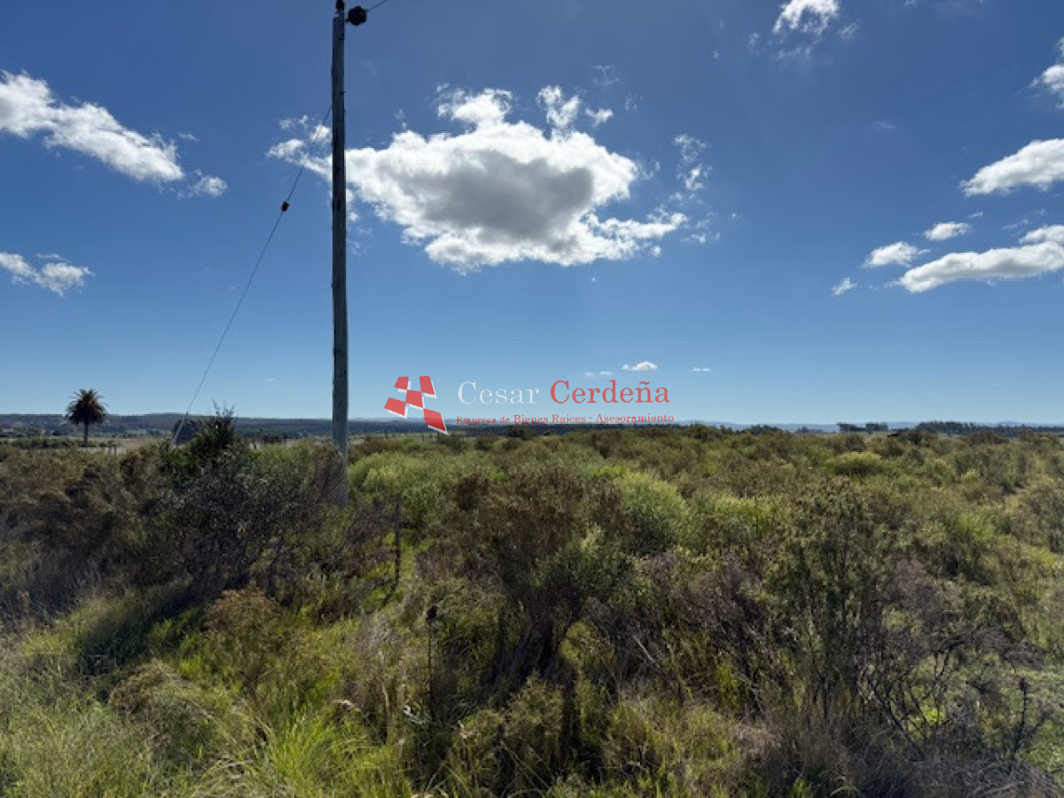 Chacra ID.1578 - VENTA - Chacra en zona de Bodegas Garzón