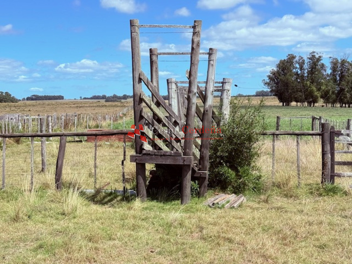 Chacra ID.1972 - VENTA - Chacra 21 hectáreas Jose Ignacio