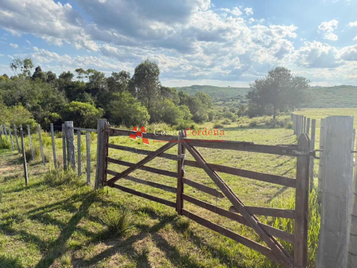 Chacra ID.1584 - VENTA - 39 Hectareas en Sierra de las Cañas