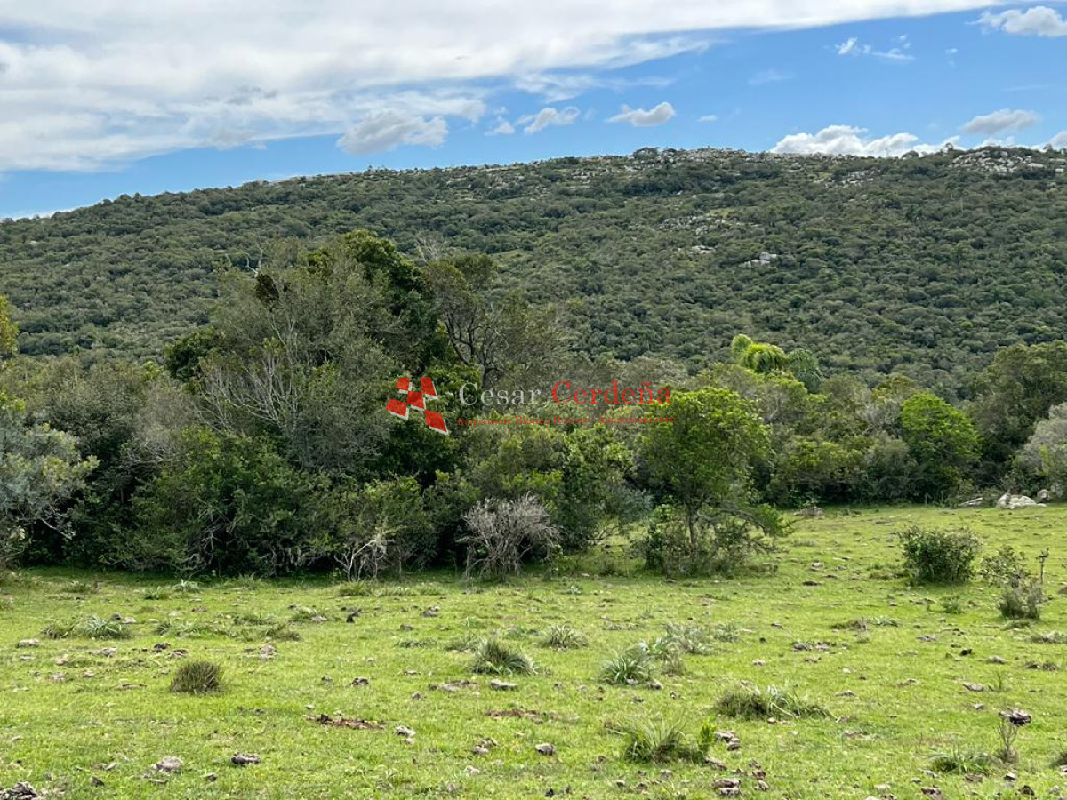 Chacra ID.1779 - VENTA - Excepcional chacra en zona de Cerro Catedral