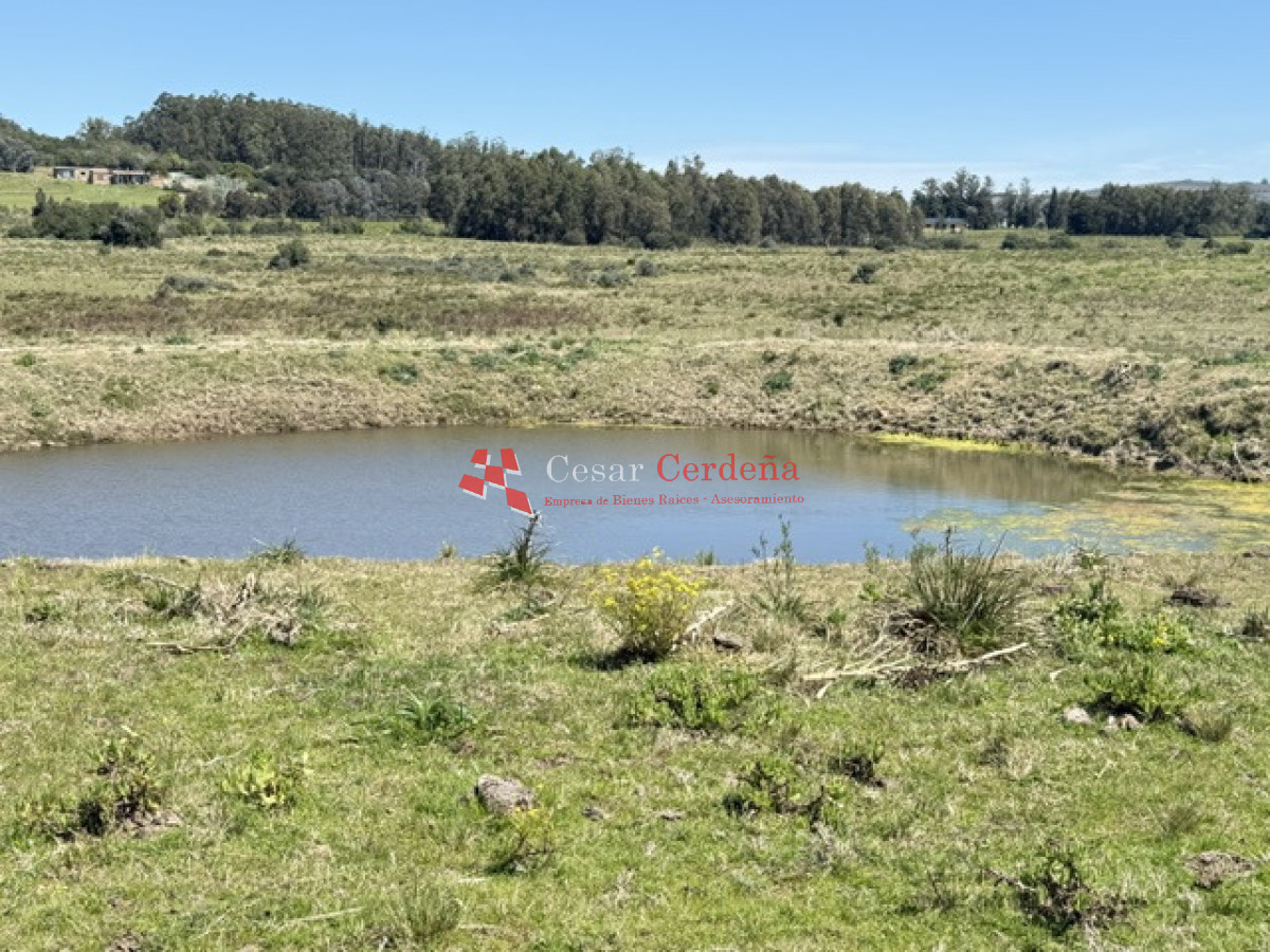 Chacra ID.2017 - VENTA - 5 Hectáreas - Chacra en Pueblo Eden 