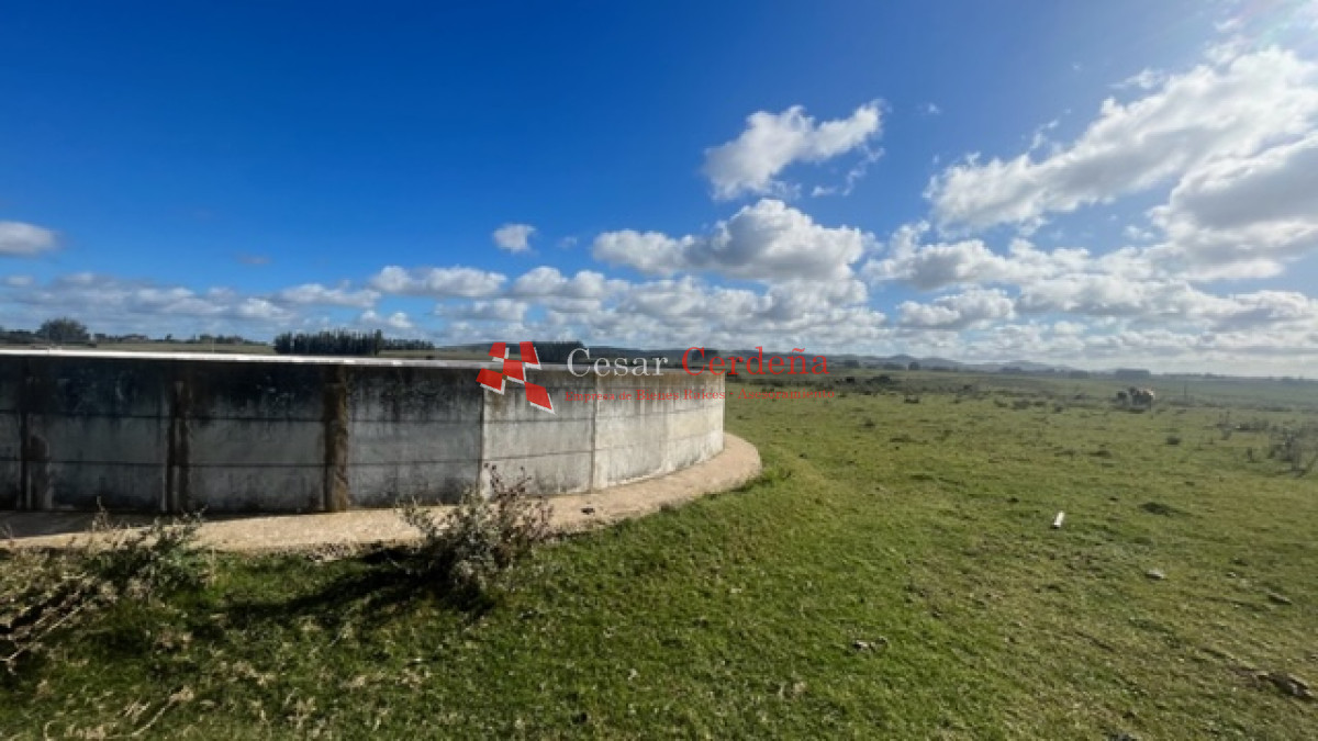 Chacra ID.1798 - VENTA - Chacra de 6 hectareas en Abra de Perdomo