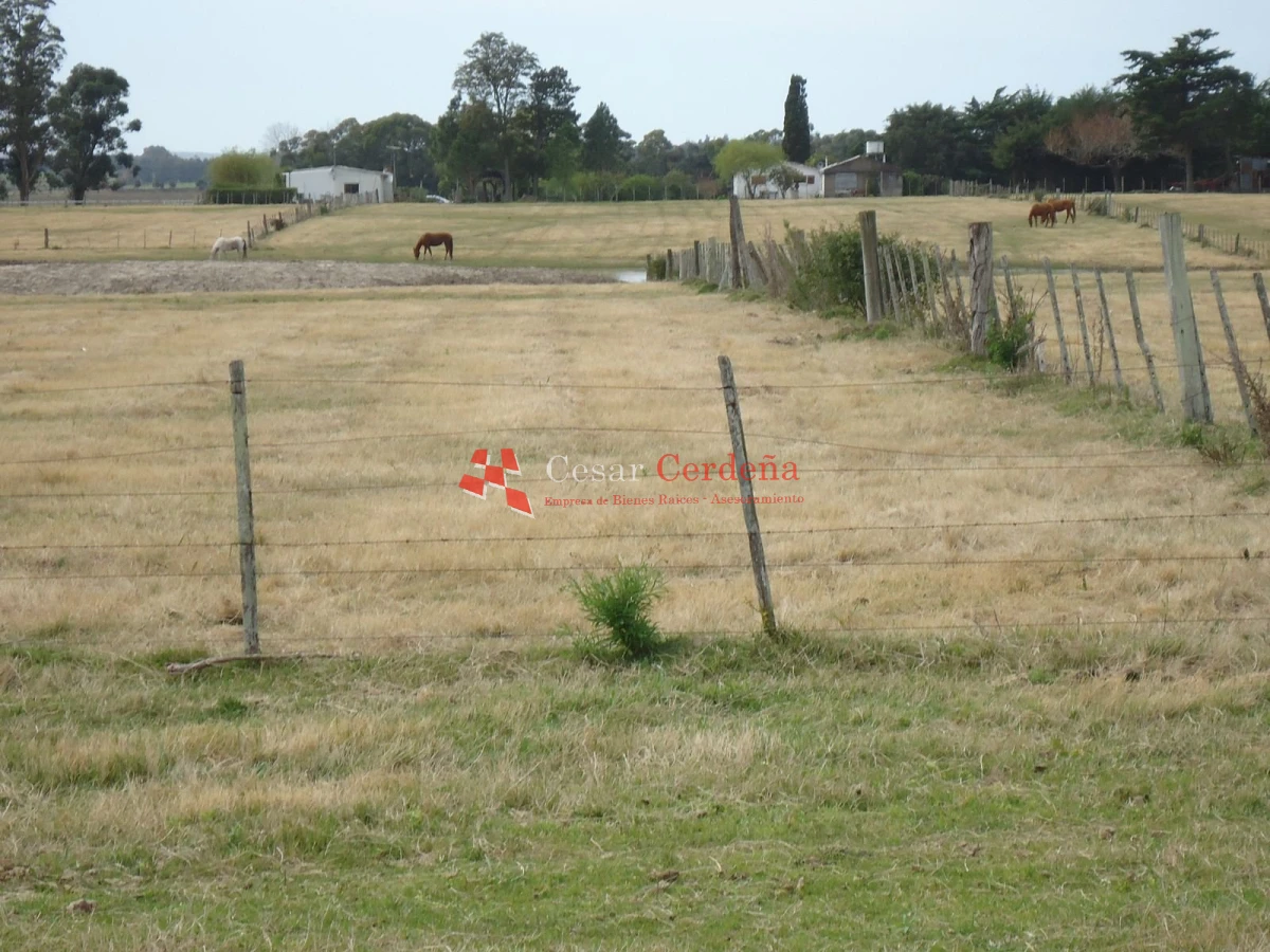Chacra ID.1223 - VENTA - Chacra en La Pataia 8 hectareas