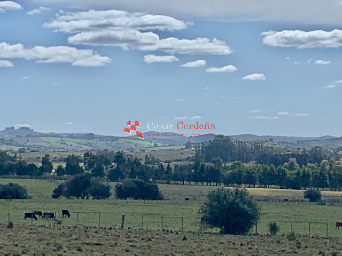 Chacra ID.1506 - VENTA - Chacra en Pueblo Eden
